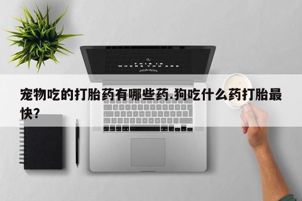 正品私人卖打胎药微信宠物吃的打胎药有哪些药.狗吃什么药打胎最快？