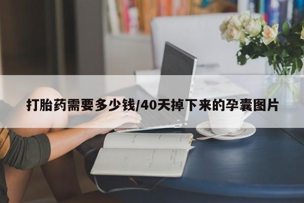 正品私人卖打胎药微信打胎药需要多少钱/40天掉下来的孕囊图片