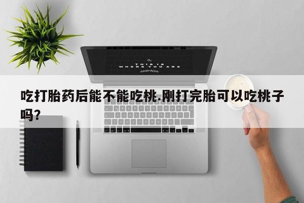 正品私人卖打胎药微信吃打胎药后能不能吃桃.刚打完胎可以吃桃子吗？