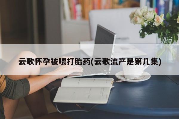 正品私人卖打胎药微信云歌怀孕被喂打胎药(云歌流产是第几集)